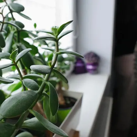 Appartement Krasny, Plne Vybaveny S Bezplatnym Parkovanim Prievidza