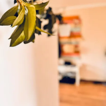 Krasny, Plne Vybaveny S Bezplatnym Parkovanim *