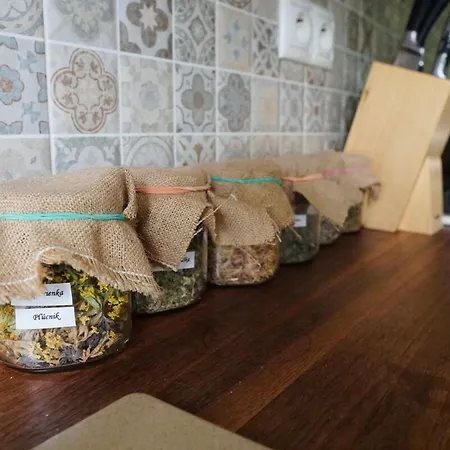 Krasny, Plne Vybaveny S Bezplatnym Parkovanim Appartement Prievidza