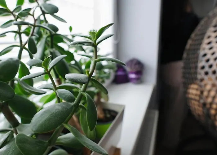 Διαμέρισμα Krasny, Plne Vybaveny S Bezplatnym Parkovanim Prievidza