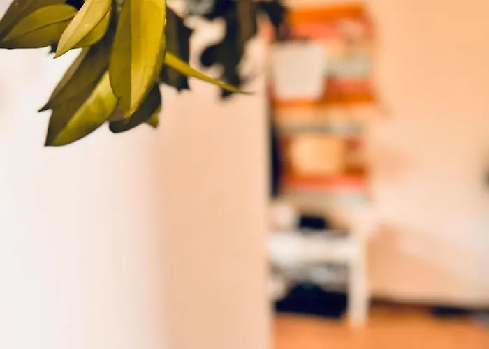 Krasny, Plne Vybaveny S Bezplatnym Parkovanim *